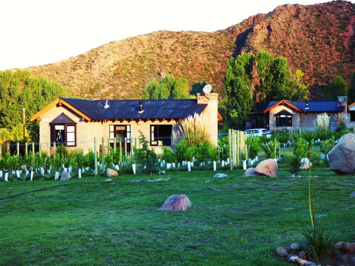 Ayres De Uco Lodge & Wine Lovers Los Árboles Exteriör bild